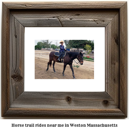 horse trail rides near me in Weston, Massachusetts